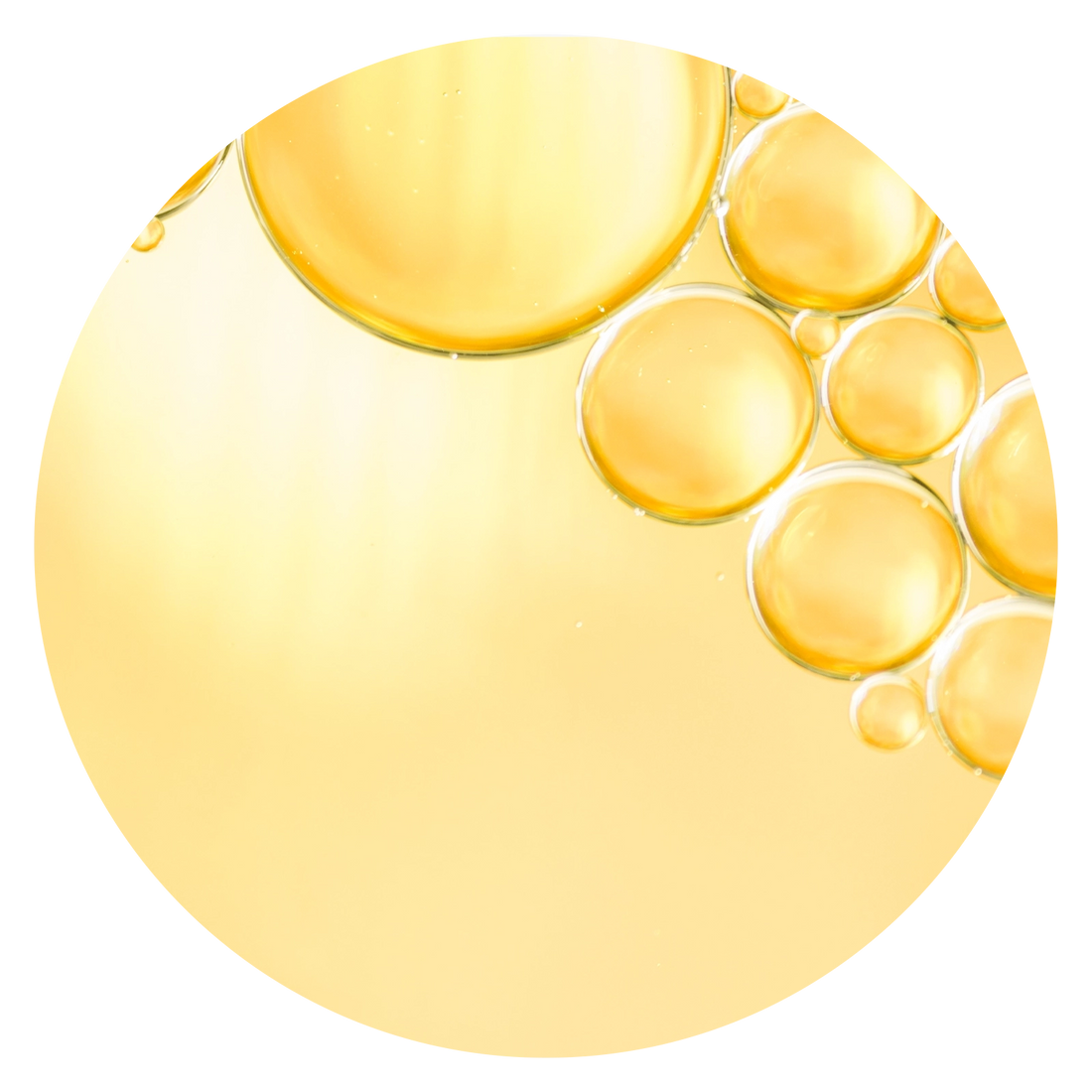 Folic Acid
