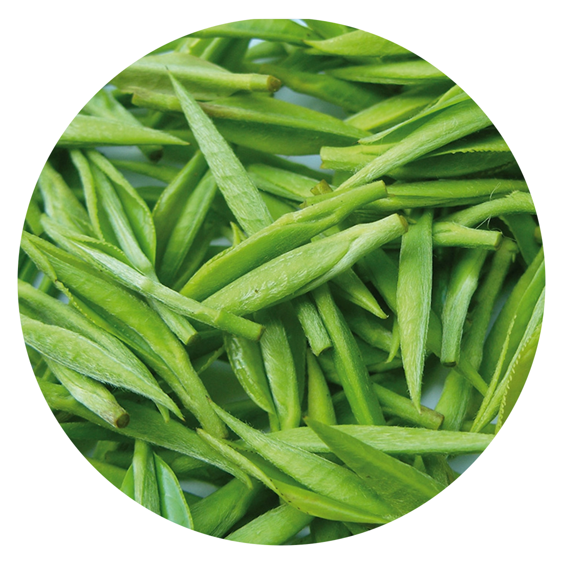 Guar Gum