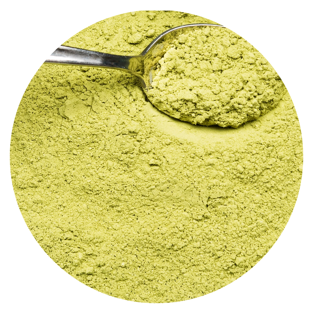 Moringa Extract
