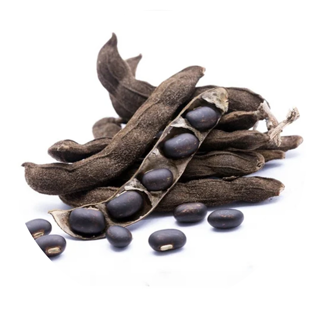 Mucuna Pruriens