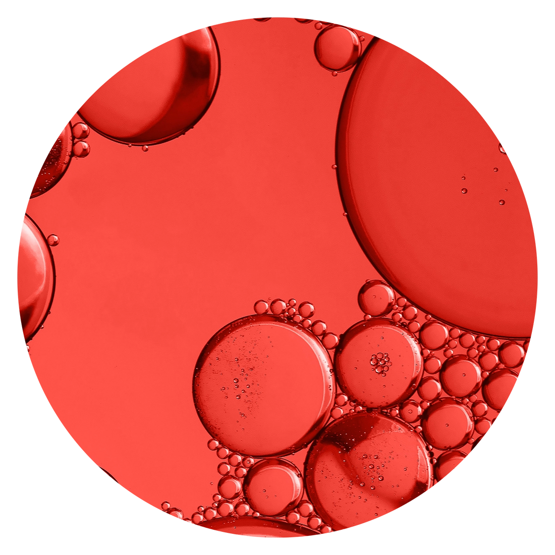 Red resveratrol oil