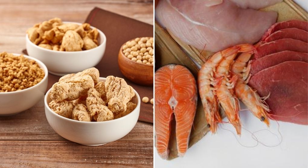 Myths About Animal vs. Plant Protein and Hormonal Health