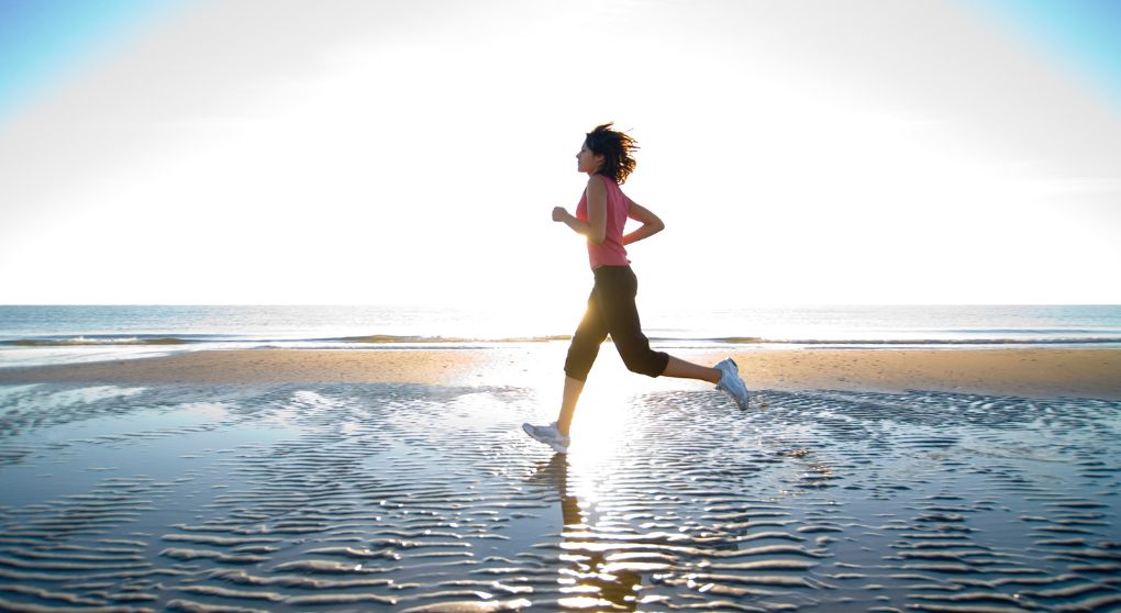 Plant‑Based vs. Animal‑Based Protein: What’s Better for Your Hormonal Health?
