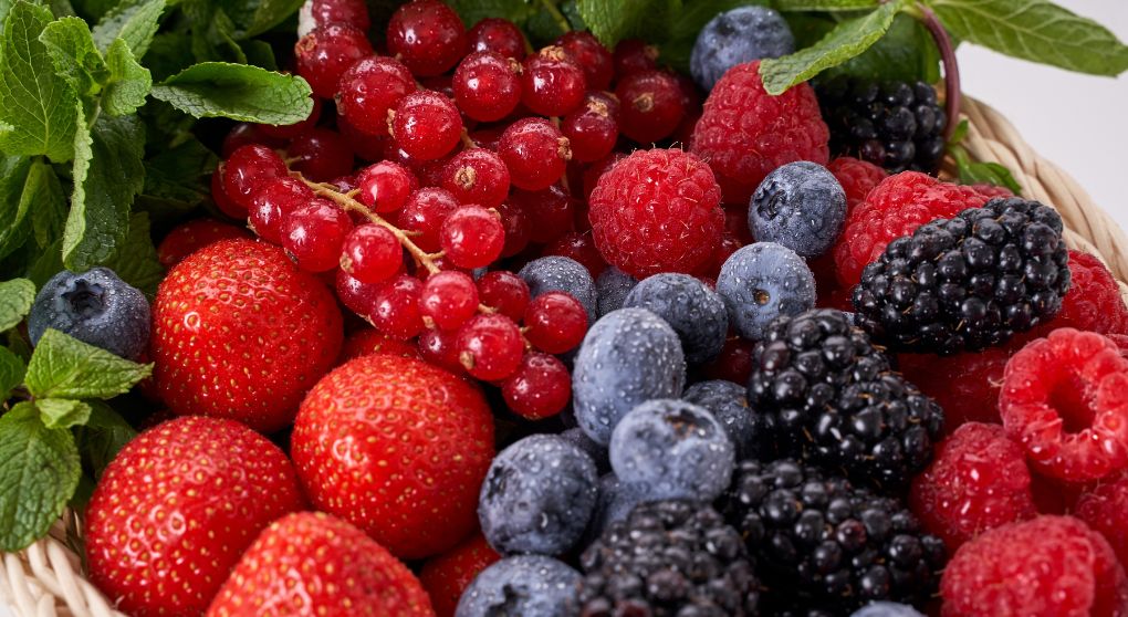 The Anti-Aging Power of Resveratrol: What Science Says About Longevity and Cellular Health