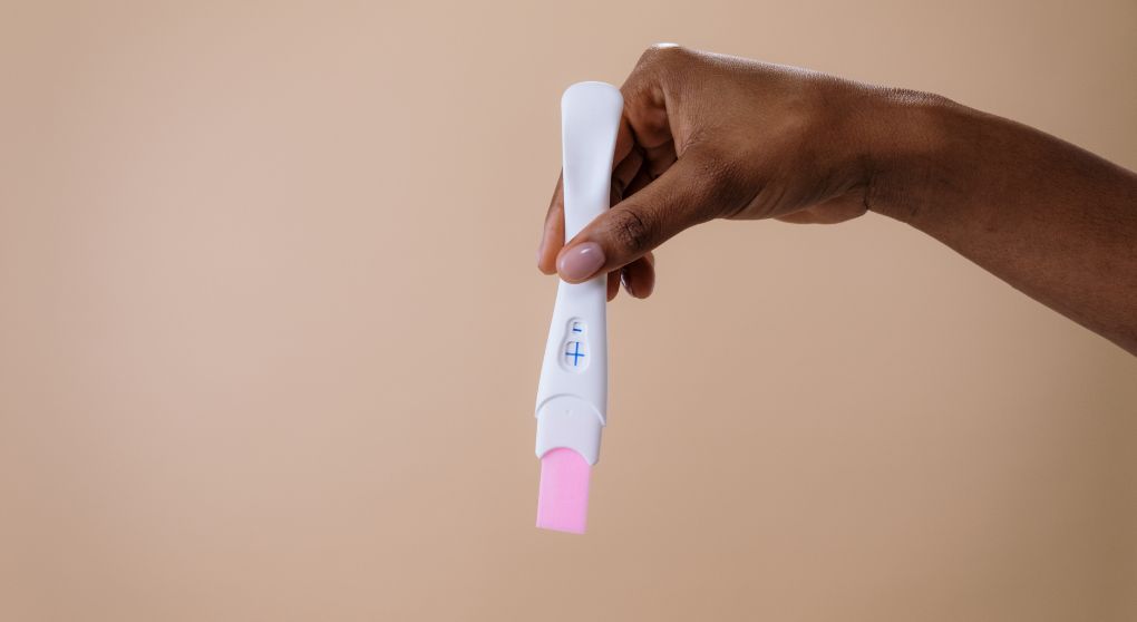 A Beginner’s Guide to Understanding Fertility Tests and What They Mean