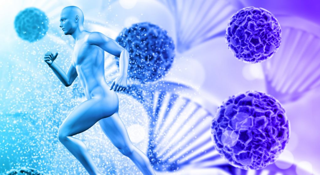 The Role of Coenzyme Q10 in Energy Production: Your Body’s Cellular Powerhouse