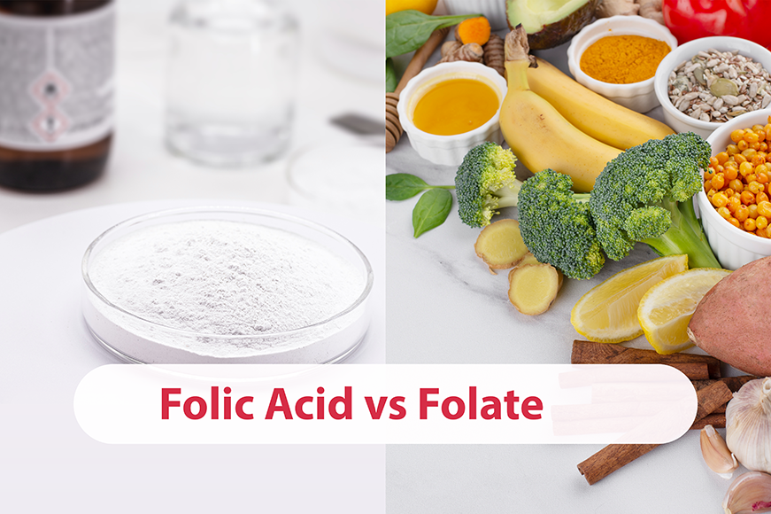 Folate vs. Folic Acid: Which is Better During Pregnancy?