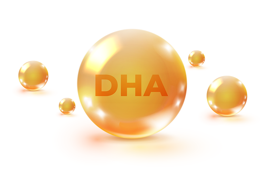 The Importance of DHA in a Prenatal Vitamin