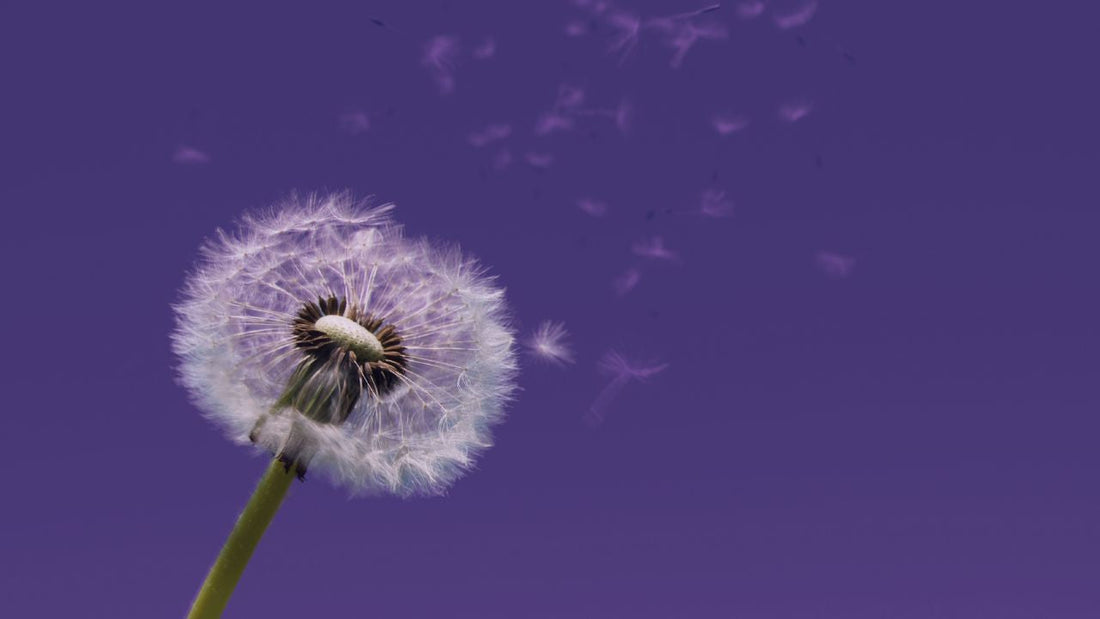 What Does Low Ovarian Reserve Mean? Signs, Causes, and Symptoms