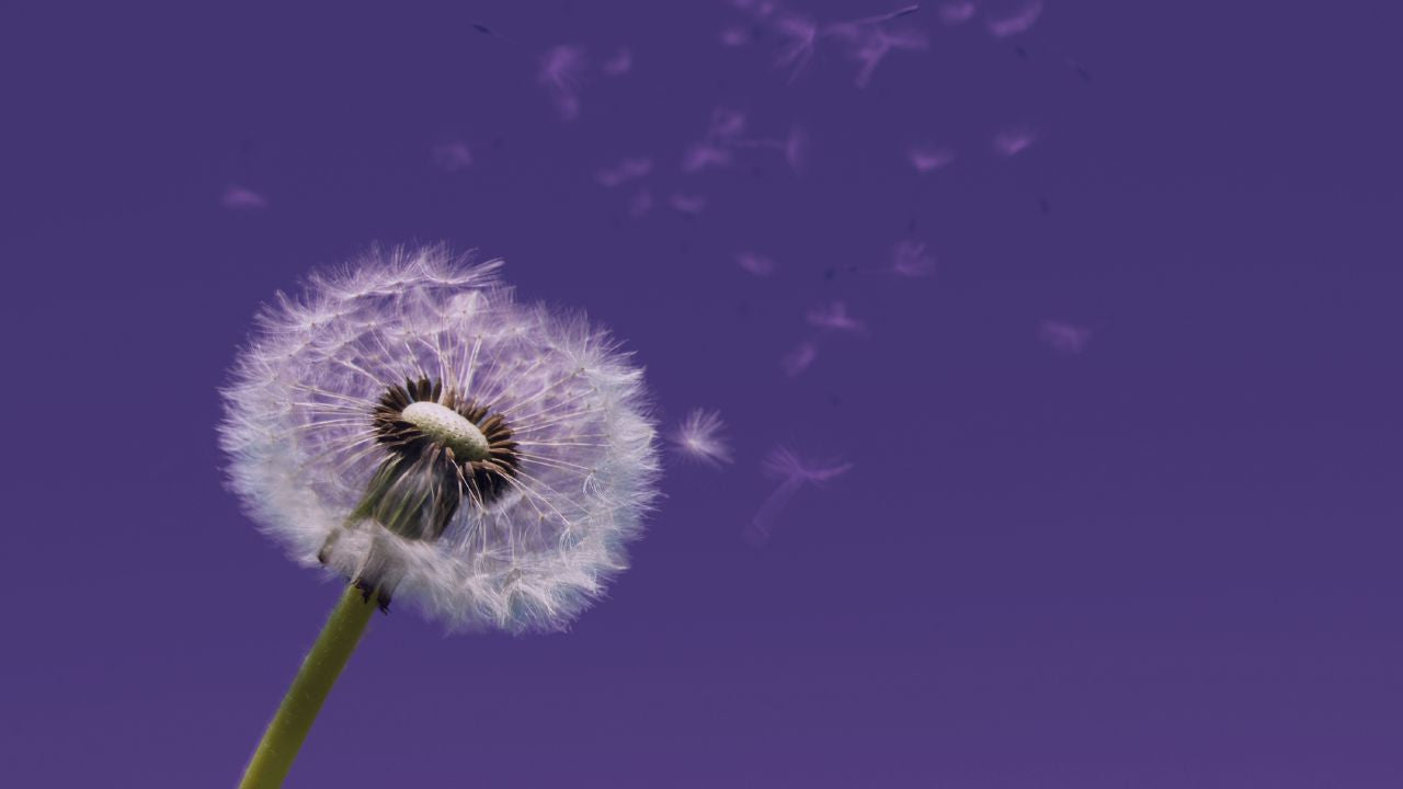 What Does Low Ovarian Reserve Mean? Signs, Causes, and Symptoms
