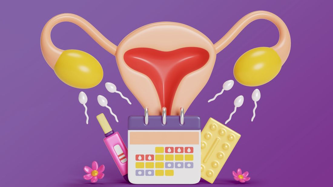 Ovulation