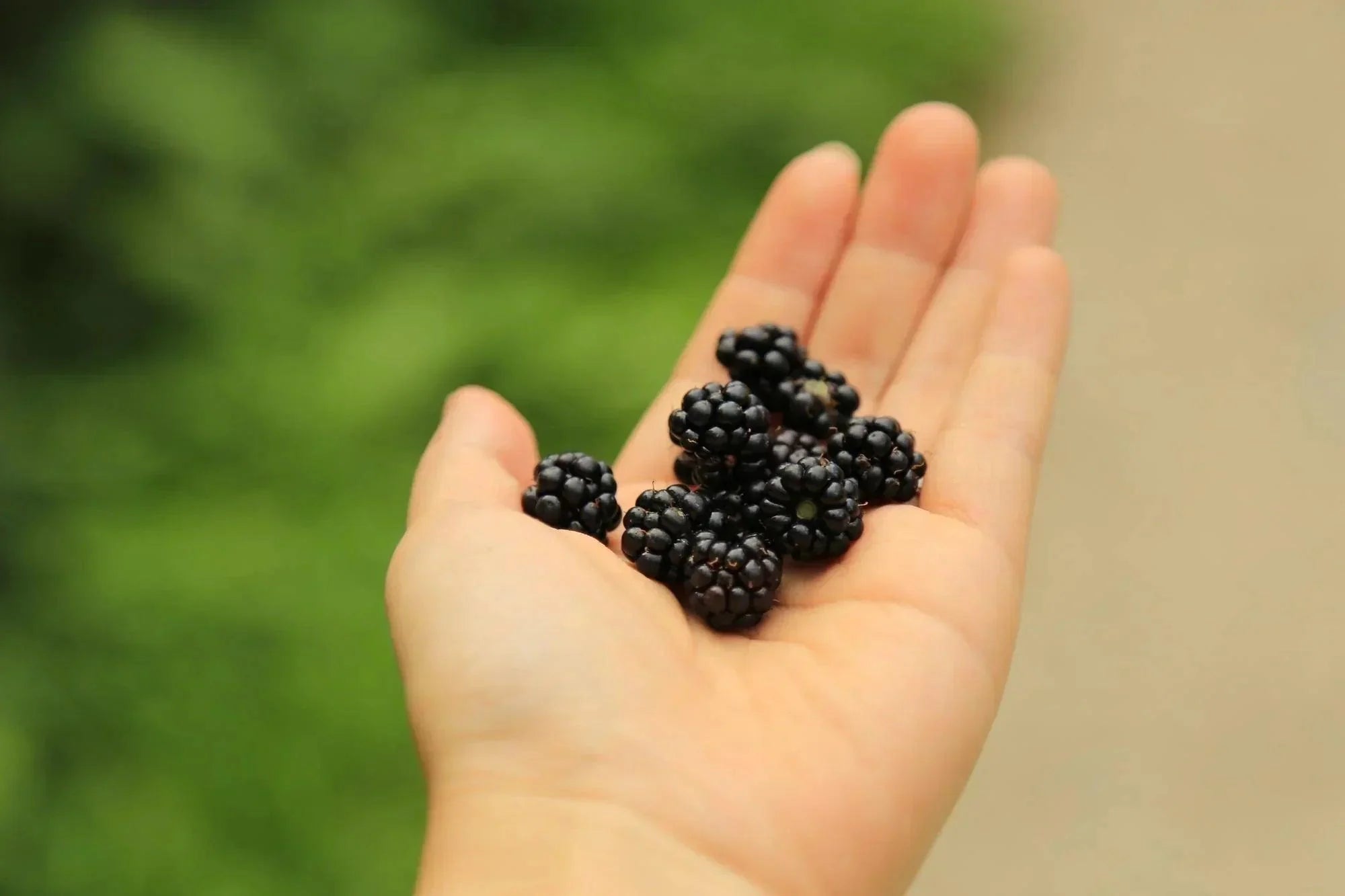 Antioxidant Supplements For Male Fertility | How Natural Antioxidants Help