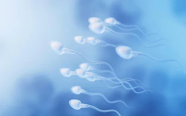 What Are The Common Causes Of Male Infertility?