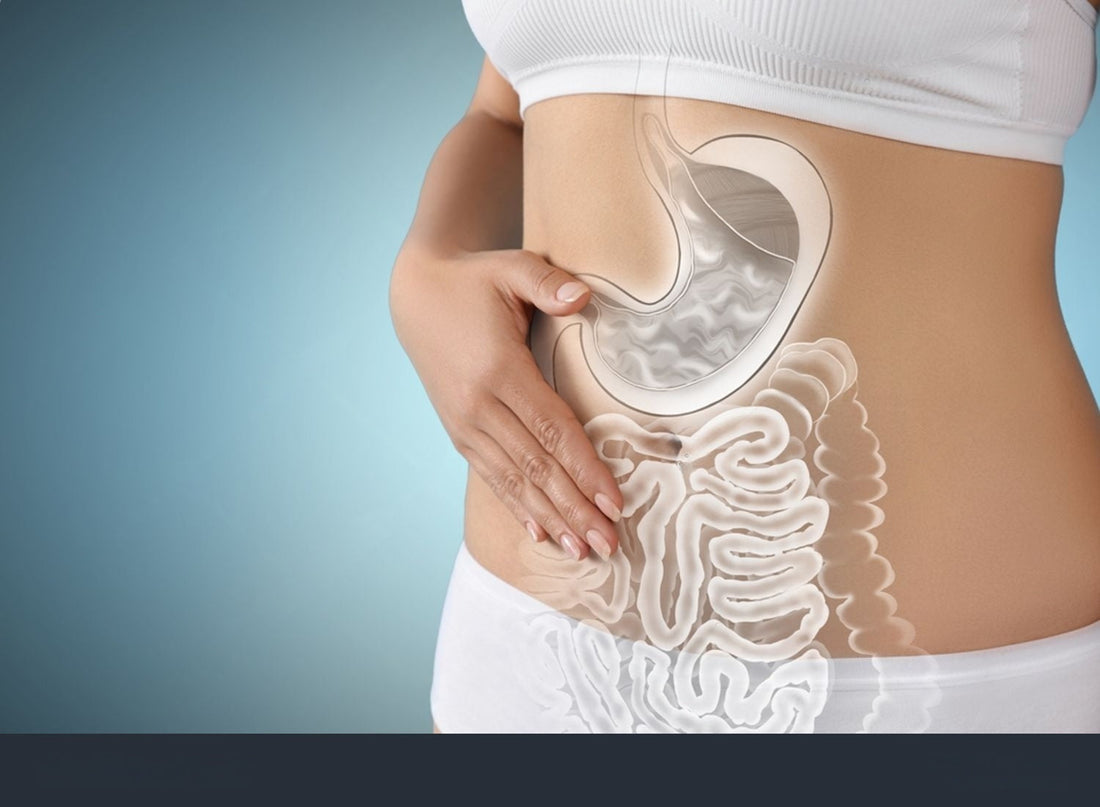 Gut Health 101
