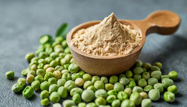 The Power of Plant Protein: Why It Fuels Your Health Better Than Animal Protein?