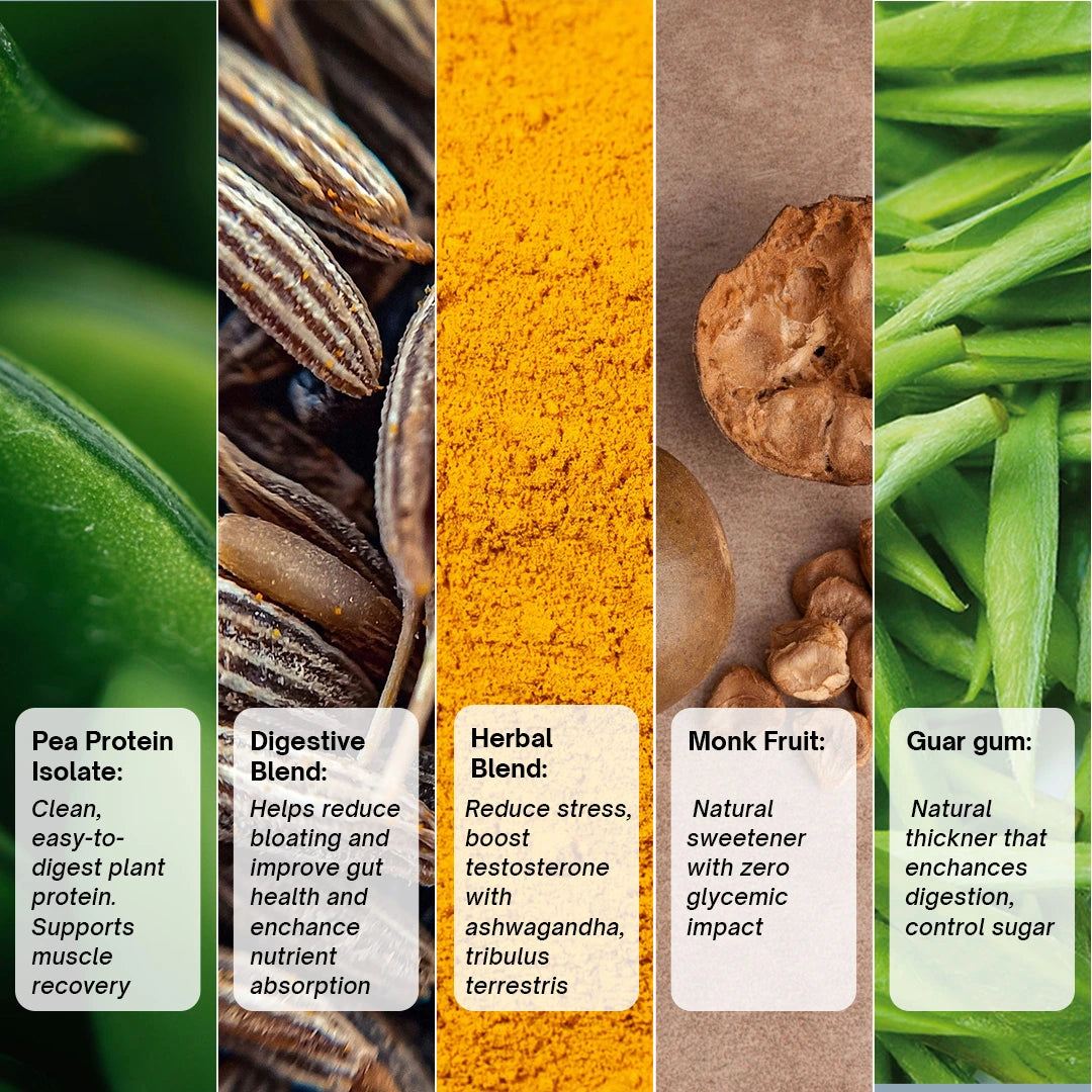 Plant Protein l All Natural Protein for Men