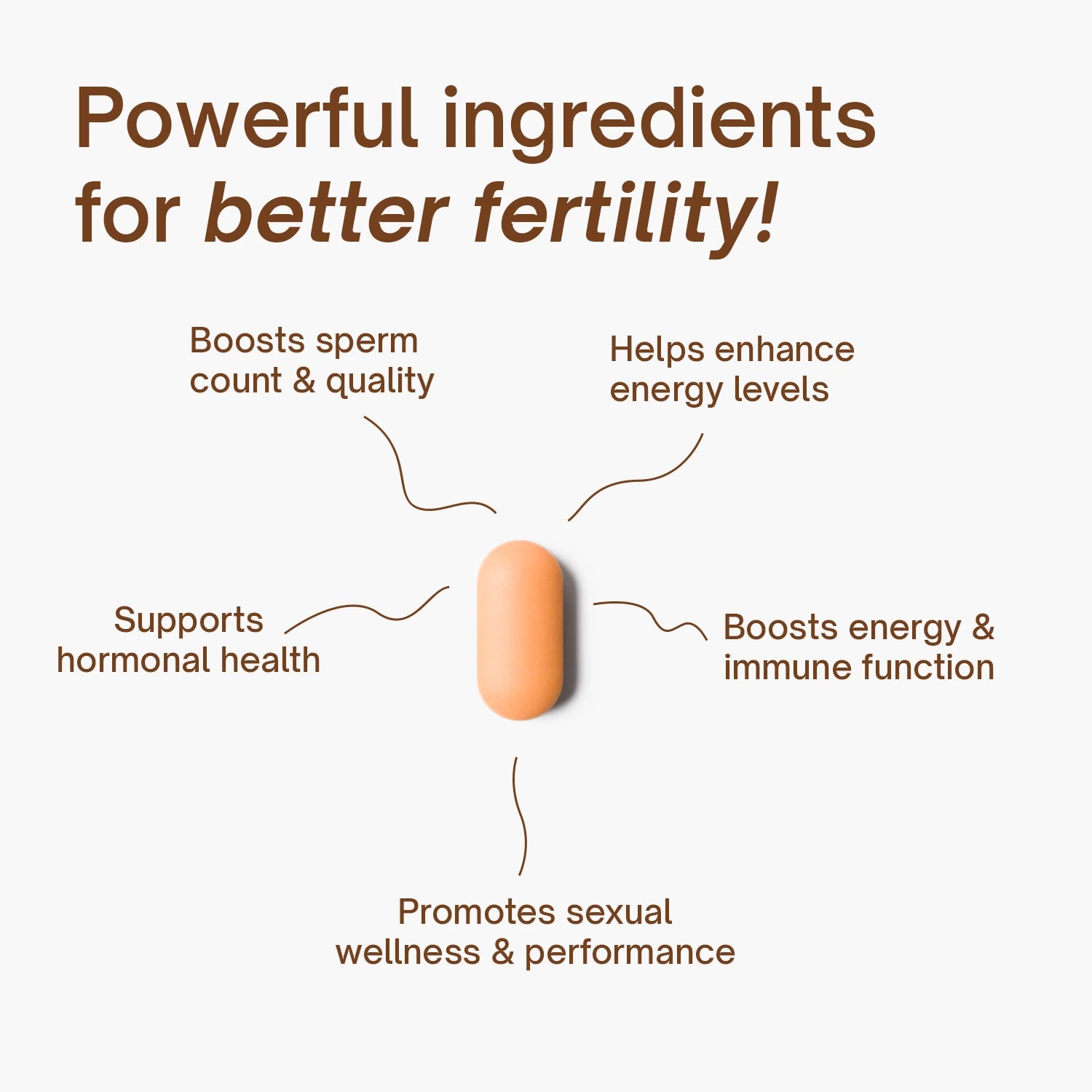 Men's Fertility Boost I Men's Complete Care Multivitamin