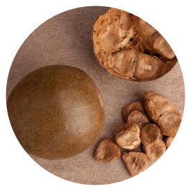 Monk Fruit