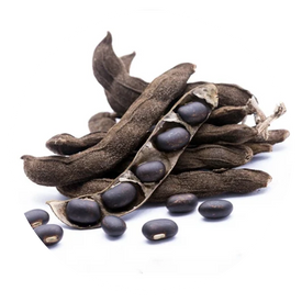Mucuna Pruriens