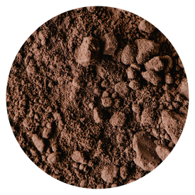 Tribulus terrestris root powder for vitality and strength
